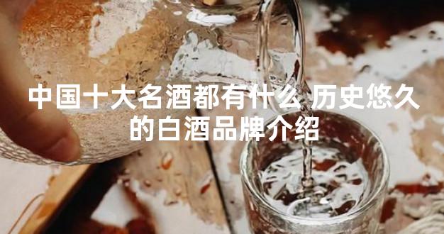 中国十大名酒都有什么 历史悠久的白酒品牌介绍